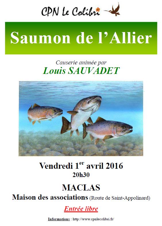 Le saumon Allier