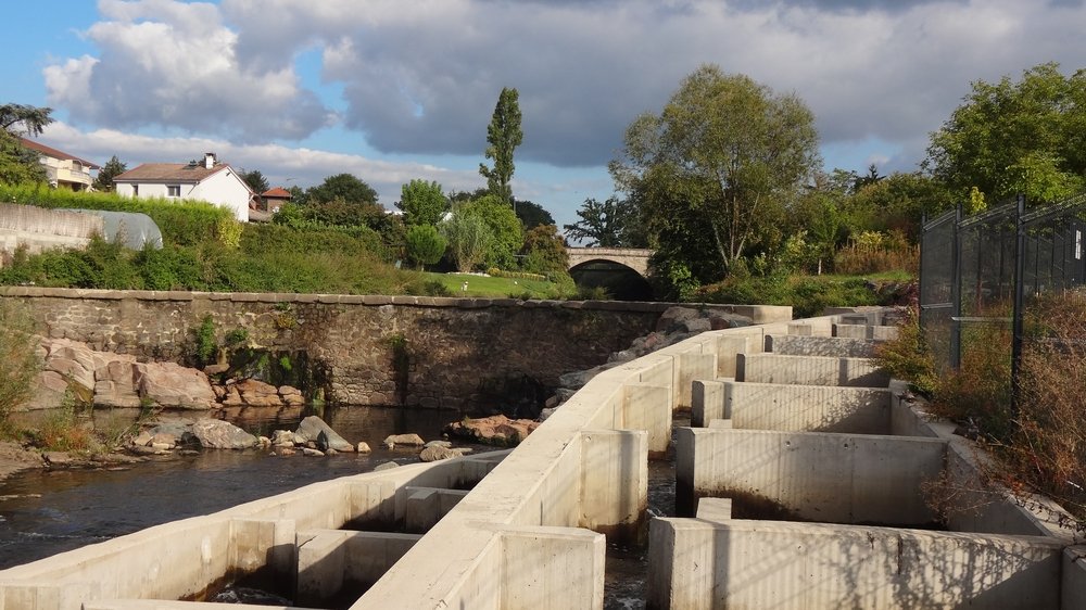 Visite commentée de la passe à poissons du seuil des Peupliers à Andrézieux