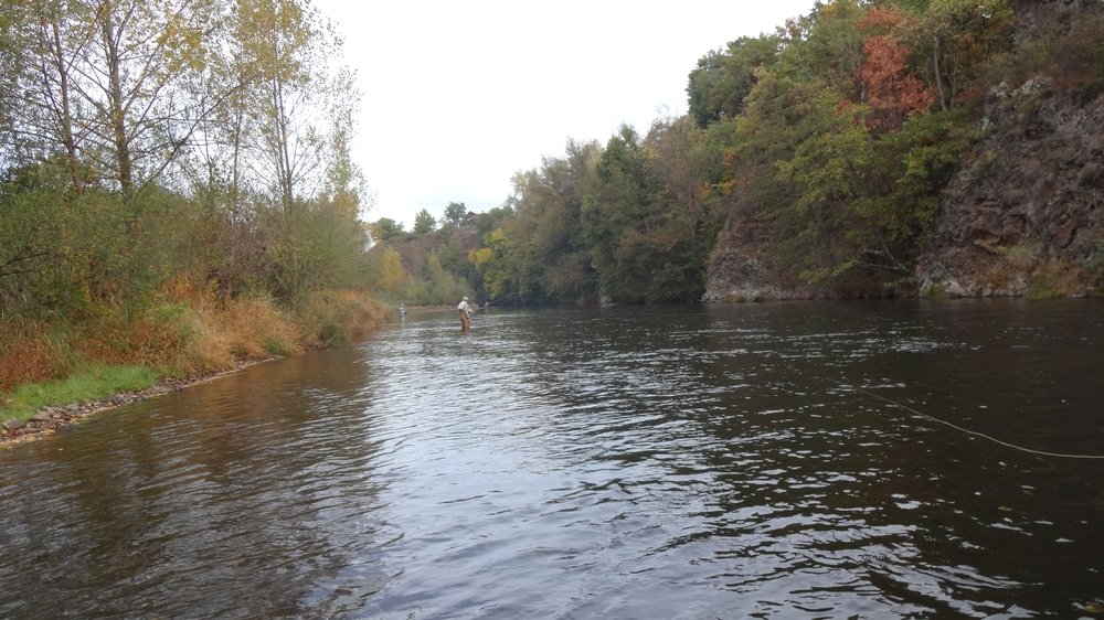 Sortie de pêche sur l’Allier