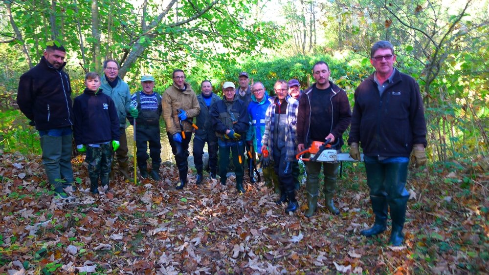 Entretien de rivière : Le Lignon du Forez