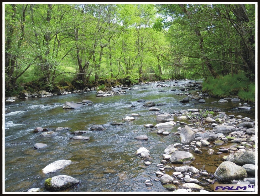 Week-end estival de pêche dans le Cantal