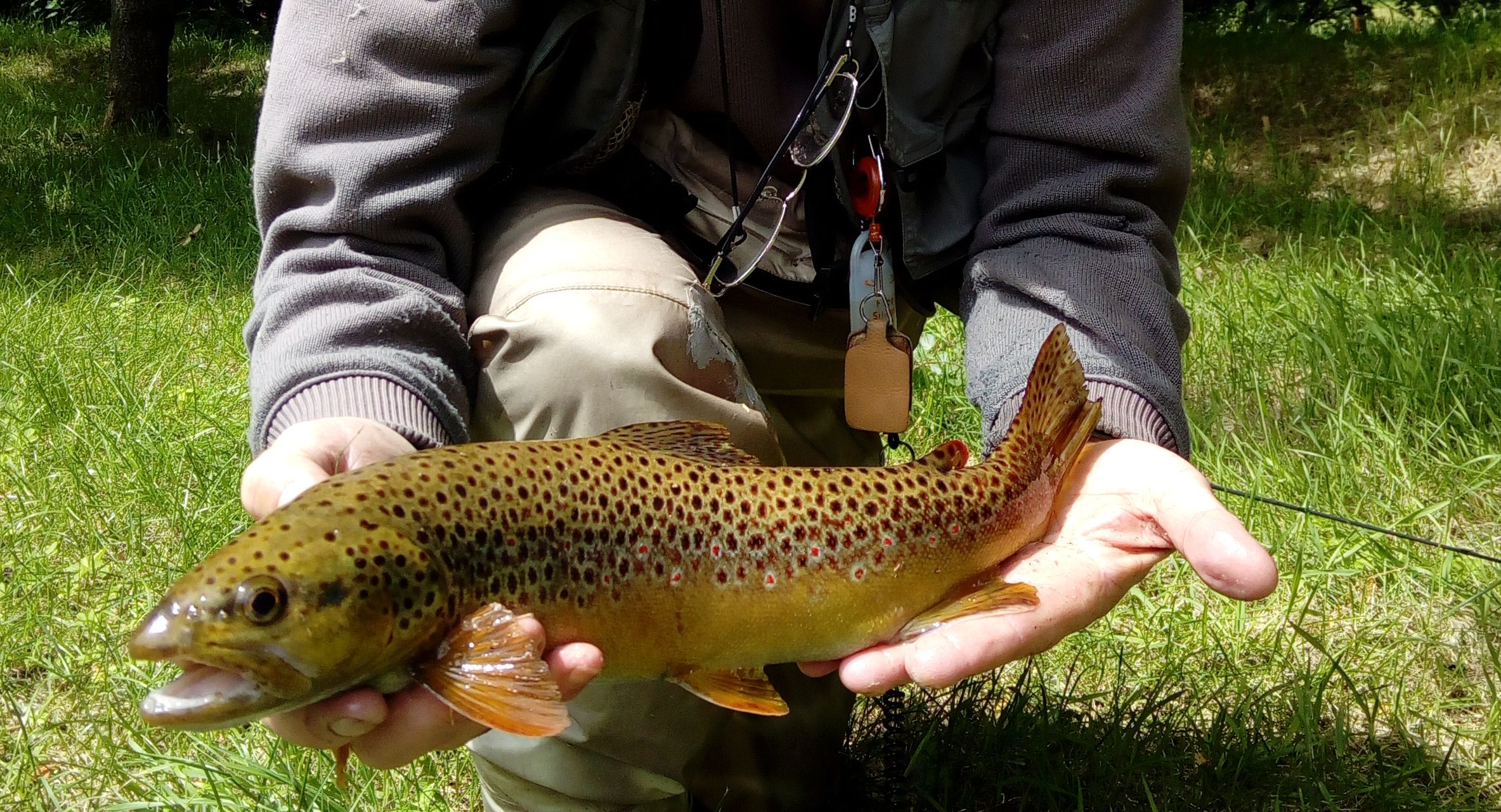 Sortie à MASSIAC ( Cantal )