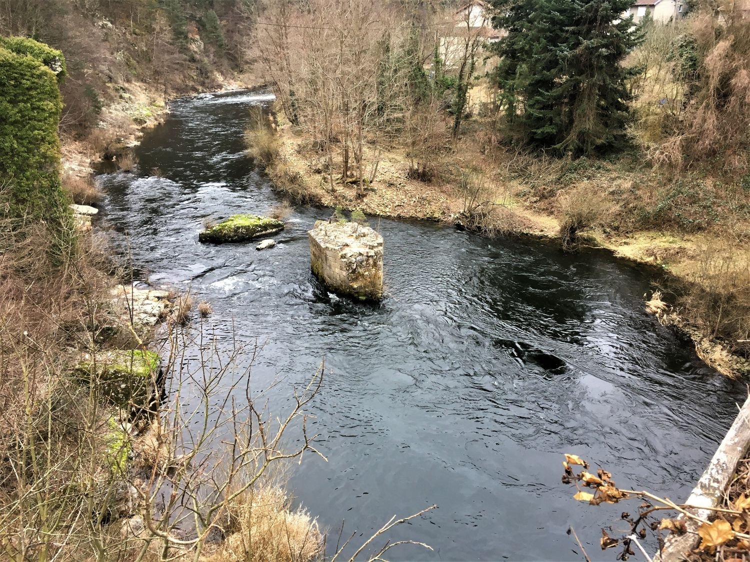 Nettoyage de rivière avec l’AAPPMA de Monistrol Gournier