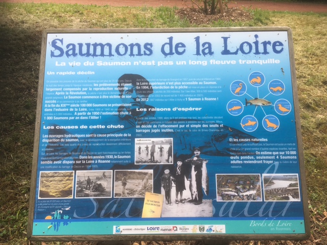 35e édition de la Fête des fleurs à Riorges les 21 et 22 mai 2022