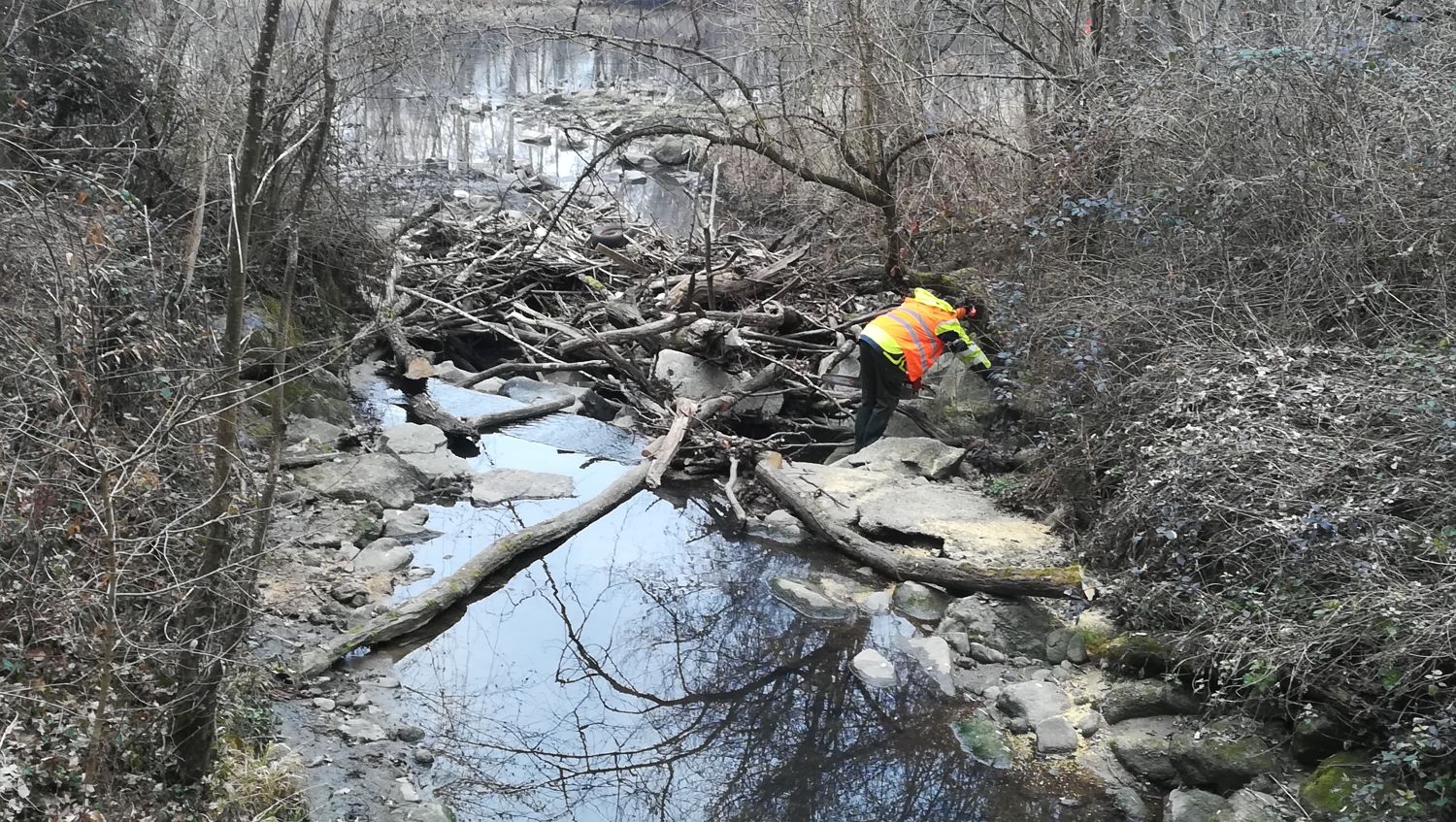 Sauvons nos rivières : les enjeux de la protection des milieux aquatiques.