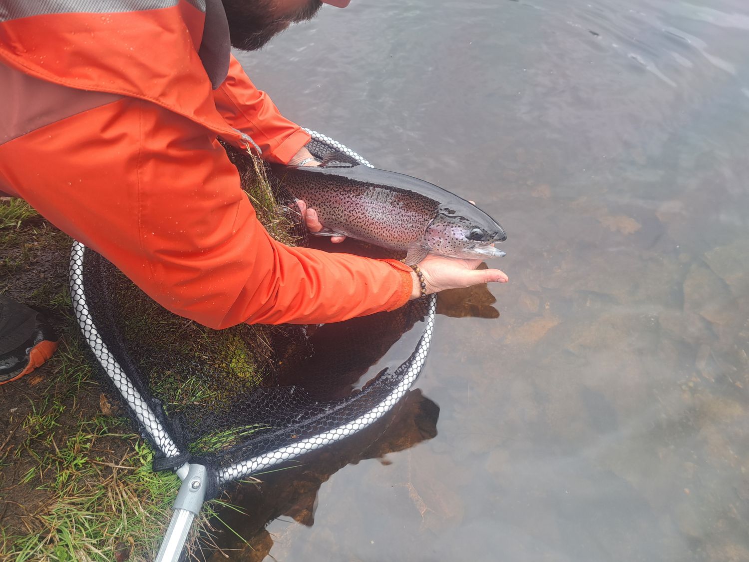 Sortie dans le Cantal (Lac du Roussillou)