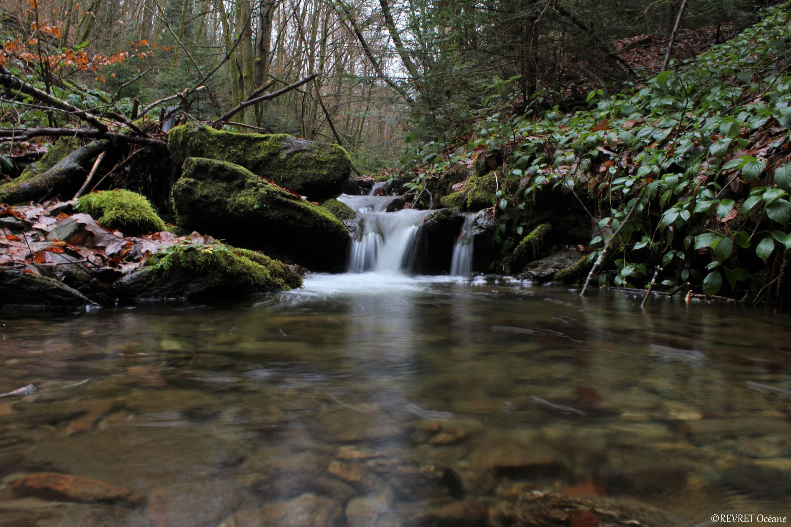 Initiation pêche à la mouche en Roannais